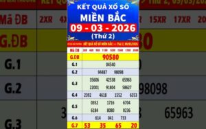 Soi cầu lô tô bạch thủ hôm nay theo bảng thống kê XSMB